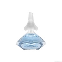 Perfume Salvador Dali Rubylips Feminino Eau de Toilette 100 ml