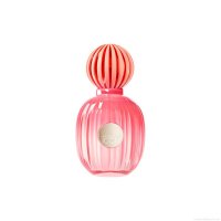 Perfume Banderas The Icon Splendid Feminino Eau de Parfum 50 ml