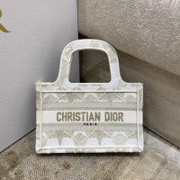 DIOR BOOK TOTE BAG