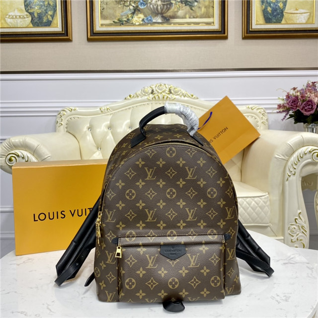 Louis Vuitton Palm Springs MM Backpack Louis Vuitton Palm Springs MM Backpack