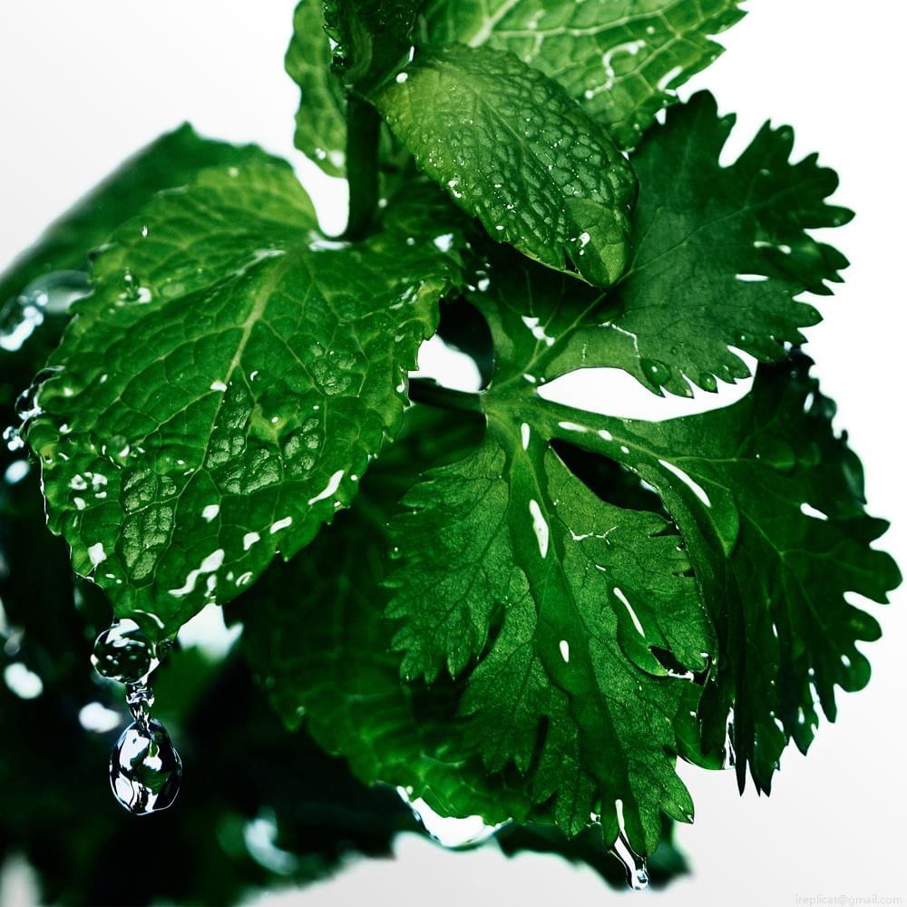 Perfume Davidoff Cool Water Eau de Toilette Masculino 40 ml Perfume Davidoff Cool Water Eau de Toilette Masculino 40 ml