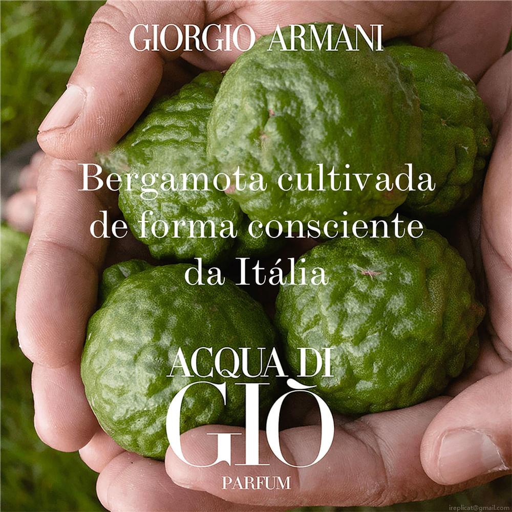 Perfume Giorgio Armani Acqua Di Giò Homme Masculino Eau de Toilette 50 ml