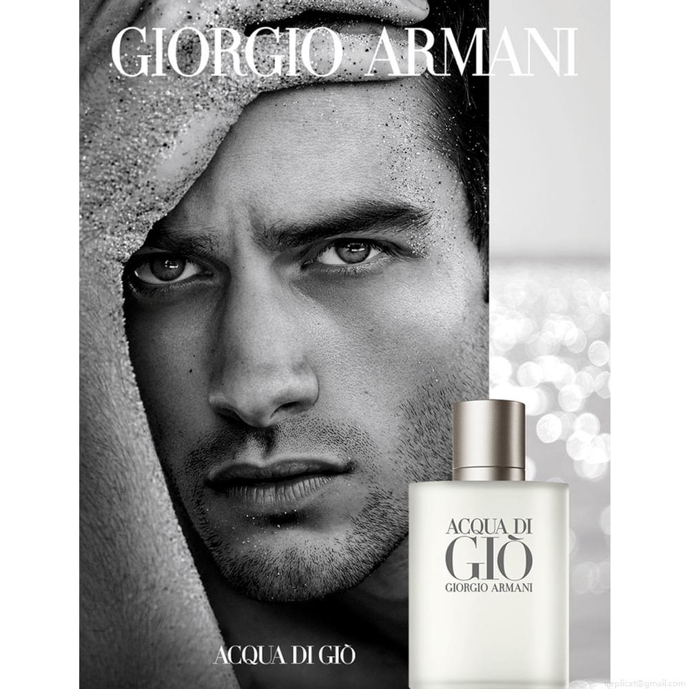 Perfume Giorgio Armani Acqua Di Giò Homme Masculino Eau de Toilette 100 ml