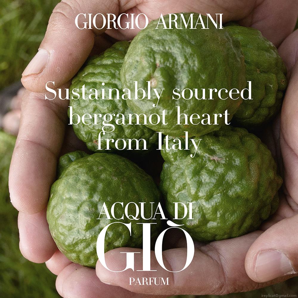 Perfume Giorgio Armani Acqua Di Giò Masculino Parfum 125 ml