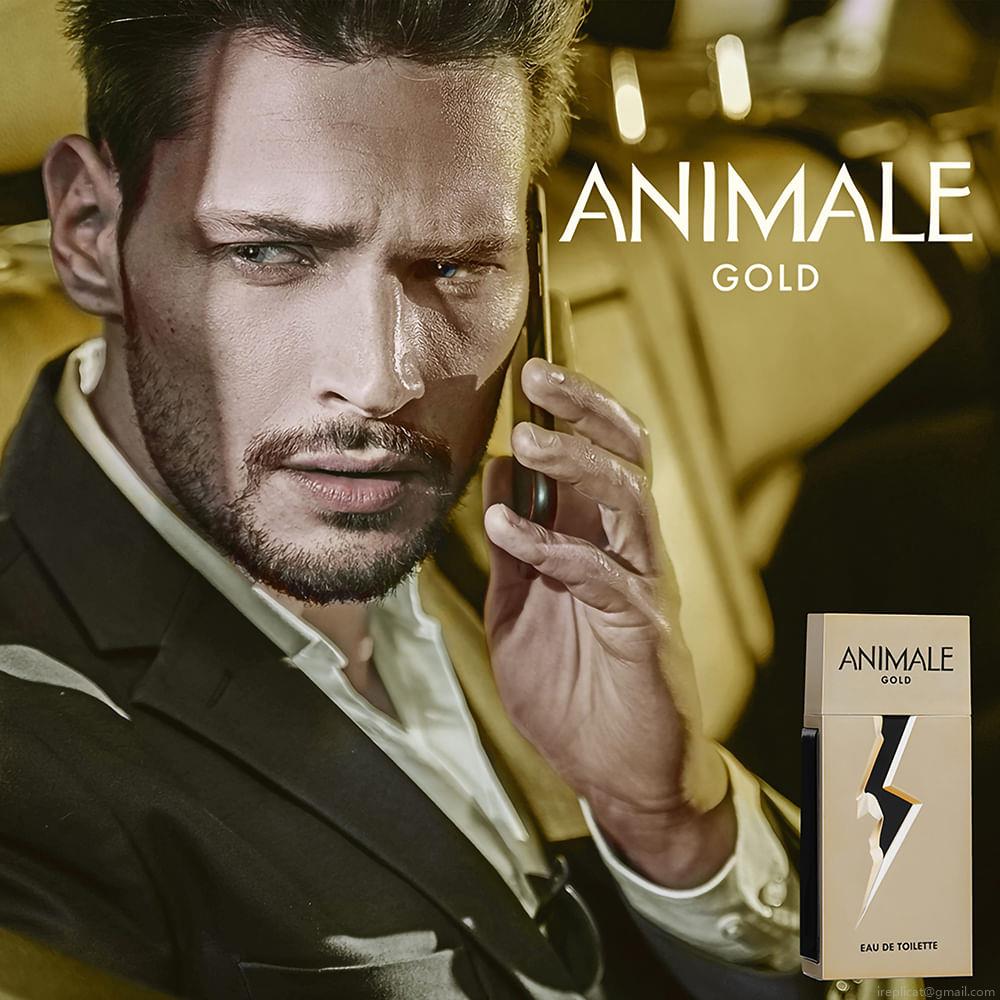 Perfume Animale Gold Masculino Eau de Toilette 100 ml Perfume Animale Gold Masculino Eau de Toilette 100 ml