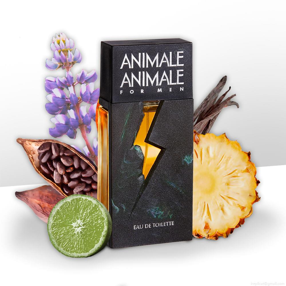 Perfume Animale Animale For Men Masculino Eau de Toilette 200 ml